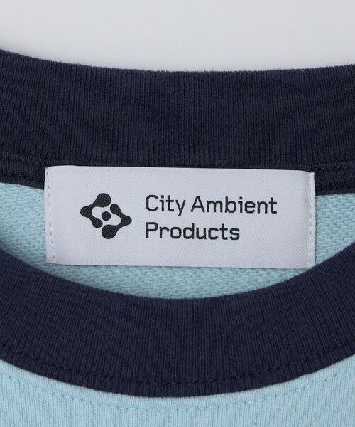 SHIPS / シップス スウェット | City Ambient Products: ラグランスリーブ プリント スウェット | 詳細26