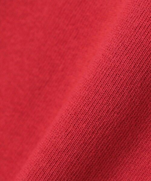 SHIPS / シップス ベスト | 【SHIPS別注】Redwood Classics: 14オンス ラグラン スウェット | 詳細18