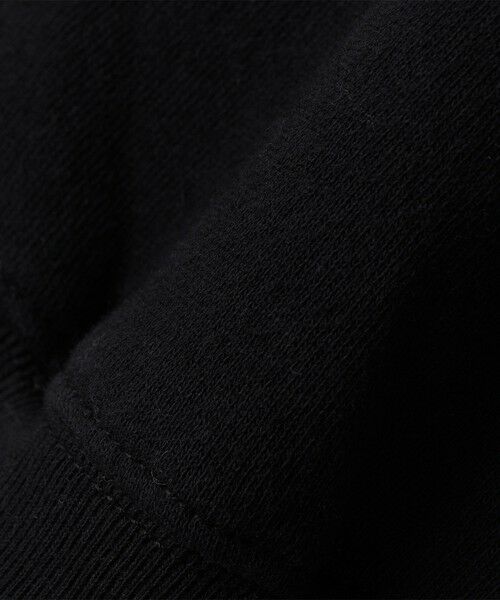 SHIPS / シップス ベスト | 【WEB限定】SHIPS: SCREEN STARS(R) STYLISH STANDARD ロゴ 刺繍 スウェット | 詳細21