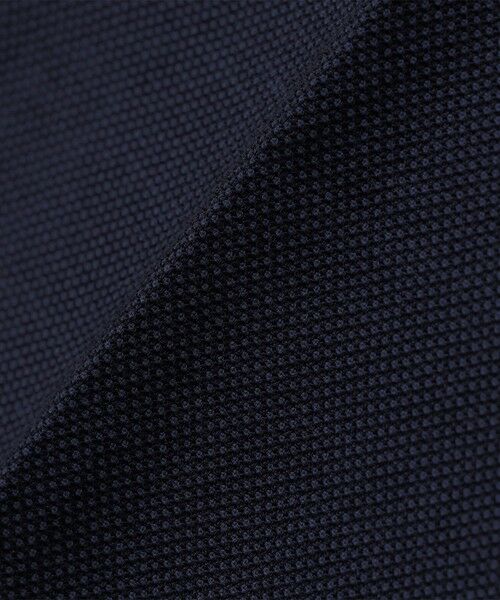 SHIPS / シップス その他パンツ | SHIPS: コットン バーズアイ スラックス | 詳細29