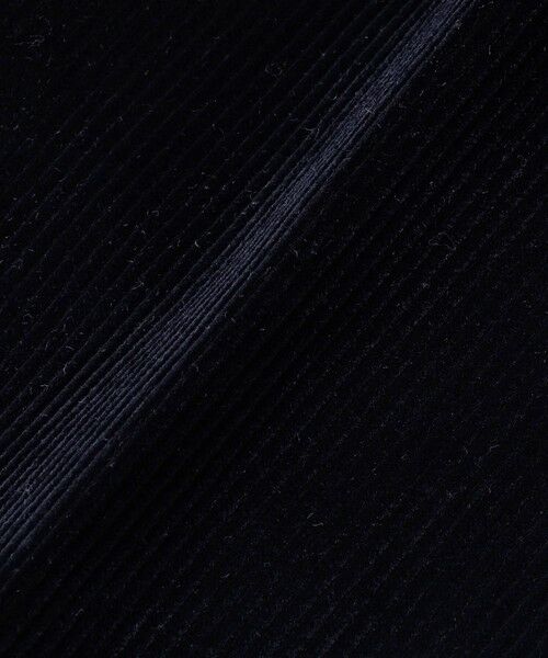 SHIPS / シップス その他パンツ | Southwick: アイビー コーデュロイ ブリスベンモス パンツ | 詳細19