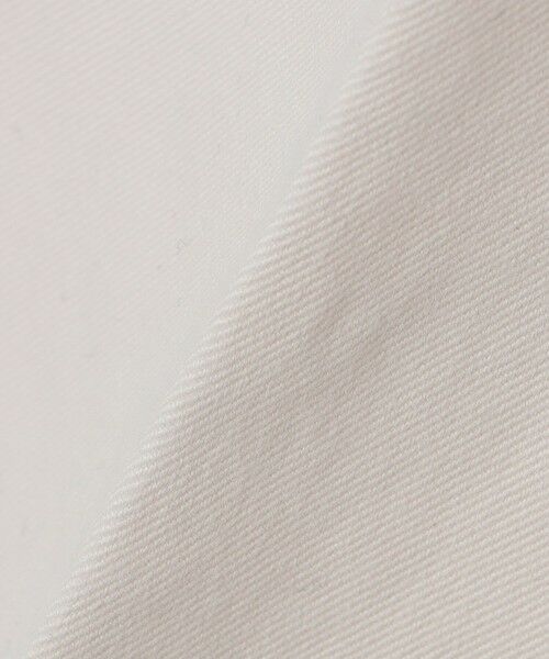 SHIPS / シップス その他パンツ | DEVORE incipit: 3PLY チノパンツ | 詳細2
