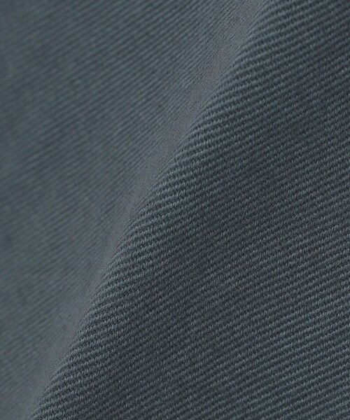 SHIPS / シップス その他パンツ | DEVORE incipit: 3PLY チノパンツ | 詳細19