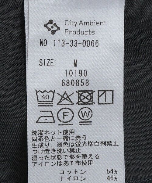 SHIPS / シップス その他パンツ | City Ambient Products: CTN/NYN バギー カーゴ ショーツ | 詳細27