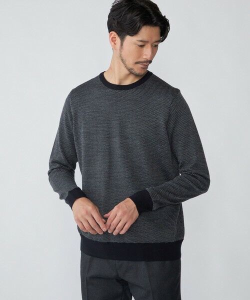 SHIPS / シップス ニット・セーター | SHIPS: 16ゲージ バーズアイ クルーネック ニット | 詳細23