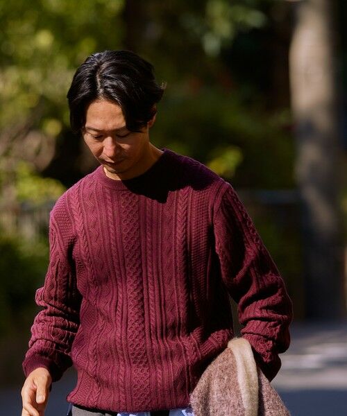 SHIPS / シップス ニット・セーター | SHIPS:〈手洗い可能〉コットン ウール アラン クルーネック プルオーバー ニット | 詳細26