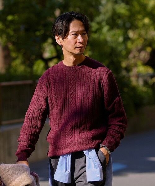 SHIPS / シップス ニット・セーター | SHIPS:〈手洗い可能〉コットン ウール アラン クルーネック プルオーバー ニット(パープル)