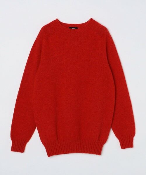 SHIPS / シップス ニット・セーター | 【SHIPS別注】HARLEY OF SCOTLAND:ウォッシャブル シャギー クルーネックニット | 詳細15