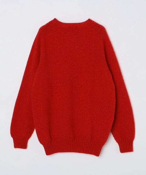 SHIPS / シップス ニット・セーター | 【SHIPS別注】HARLEY OF SCOTLAND:ウォッシャブル シャギー クルーネックニット | 詳細16