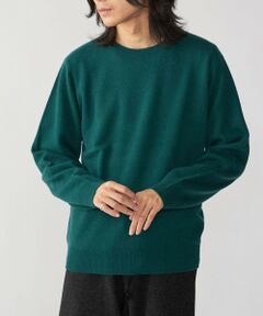 SHIPS / シップス ニット・セーター | SHIPS: 〈手洗い可能〉12ゲージ ホールガーメント カシミヤ クルーネック