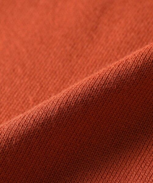 SHIPS / シップス ニット・セーター | ALANPANE: 14ゲージ コットン クルーネック ニット | 詳細2