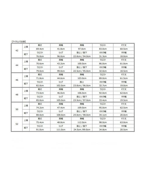 SHIPS / シップス セットアップ | SHIPS: LORO PIANA FABRIC オーストラリス ピンストライプ ネイビー スーツ | 詳細1