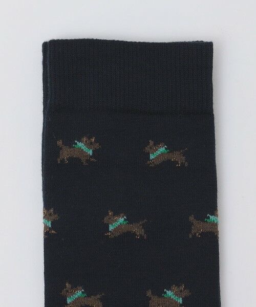 SHIPS / シップス ソックス | ROYALTIES: ARBERT | 詳細1