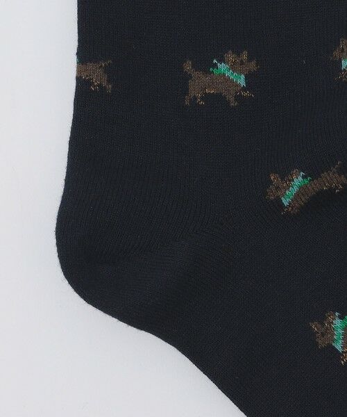 SHIPS / シップス ソックス | ROYALTIES: ARBERT | 詳細2