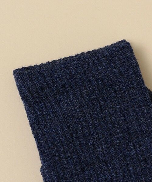 SHIPS / シップス ソックス | FALKE: WALKIE LIGHT | 詳細1