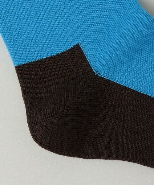 SHIPS / シップス ソックス | SHIPS: ボトムカラー パネル ソックス | 詳細2