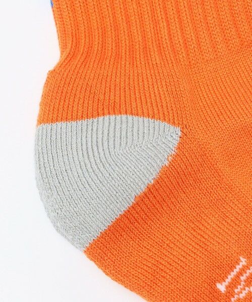 SHIPS / シップス ソックス | IVY ELLIS: ミドルライン ソックス | 詳細2