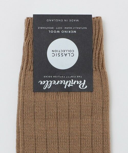 SHIPS / シップス ソックス | PANTHERELLA: PACKINGTON リブ ソックス | 詳細1