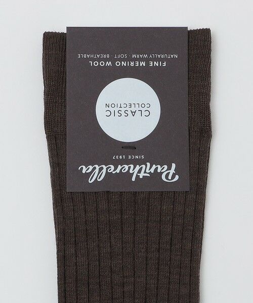 SHIPS / シップス ソックス | PANTHERELLA: LABURNUM リブ ソックス | 詳細1