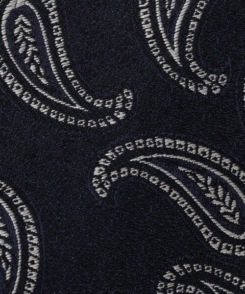 SHIPS / シップス ネクタイ | Errico Formicola: シルク ジャカード ペイズリー ネクタイ | 詳細2