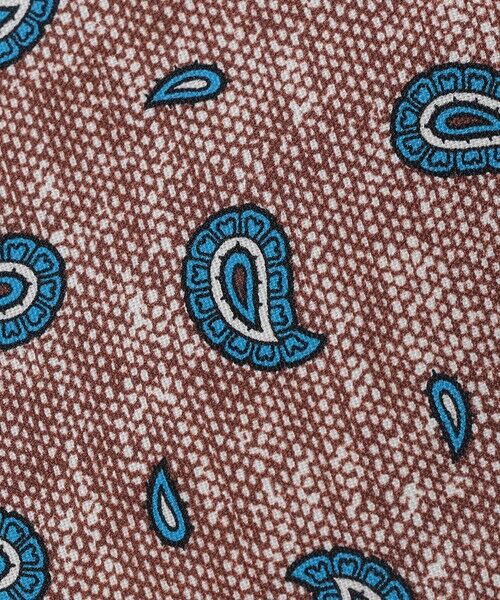 SHIPS / シップス ネクタイ | Errico Formicola: プリント メランジ ペイズリー ネクタイ | 詳細3