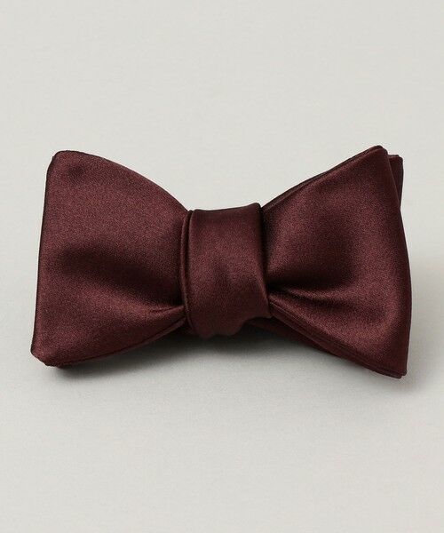 SHIPS / シップス ネクタイ | 【SHIPS別注】Stefanobigi: 無地 蝶ネクタイ | 詳細6