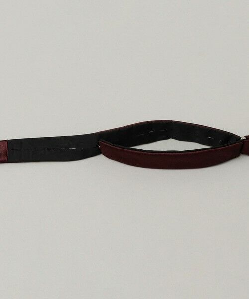 SHIPS / シップス ネクタイ | 【SHIPS別注】Stefanobigi: 無地 蝶ネクタイ | 詳細10