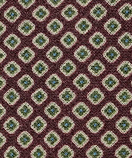 SHIPS / シップス ネクタイ | Stefanobigi: ウール プリント コモン ネクタイ | 詳細3