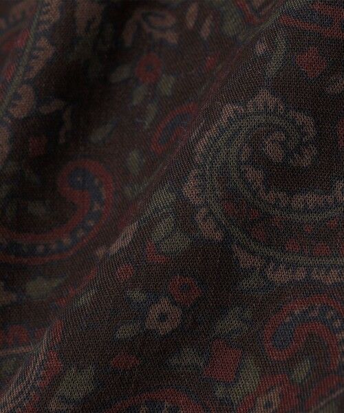 SHIPS / シップス マフラー・ショール・スヌード・ストール | Puccini: ウール プリンテッド ペイズリー ストール | 詳細3