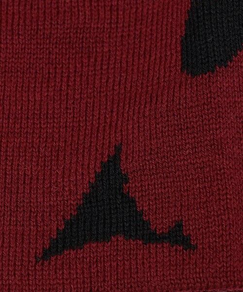 SHIPS / シップス ニットキャップ | ROA: MAGMA WOOL BEANIE | 詳細3