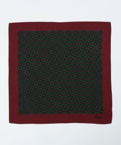 SHIPS / シップス ハンカチ | Puccini: シルク マダー ペイズリー チーフ