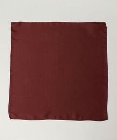 SHIPS / シップス ハンカチ | SHIPS: シルク ツイル チーフ