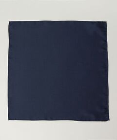 SHIPS / シップス ハンカチ | SHIPS: シルク ツイル チーフ