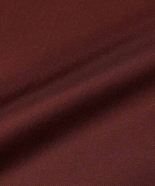 SHIPS / シップス ハンカチ | SHIPS: シルク ツイル チーフ | 詳細2