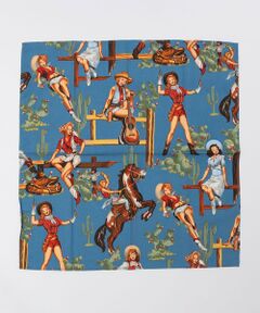 SHIPS / シップス ハンカチ | ROCKMOUNT: USA BANDANAS