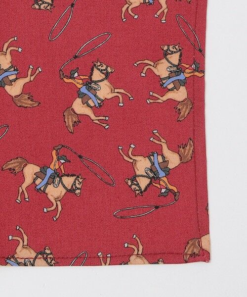 SHIPS / シップス ハンカチ | ROCKMOUNT: USA BANDANAS | 詳細1