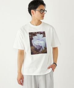 SHIPS / シップス Tシャツ | SHIPS Colors:フォト プリント Tシャツ