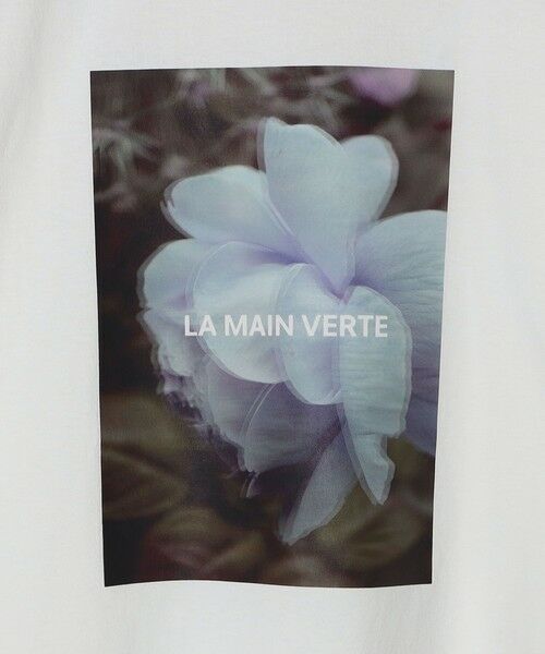 SHIPS / シップス Tシャツ | SHIPS Colors:フォト プリント Tシャツ | 詳細22