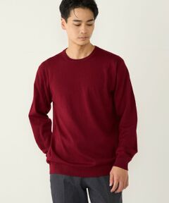 SHIPS / シップス ニット・セーター | 《一部追加・新色予約》【一部WEB限定】〈手洗い可能〉アンチピリング 12ゲージ クルーネックニット