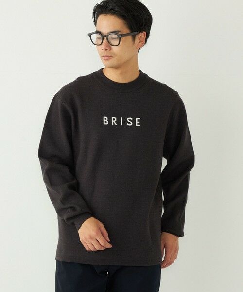 SHIPS / シップス ニット・セーター | SHIPS Colors:〈洗濯機可能〉クリーミー ロゴ クルーネック ニット | 詳細19