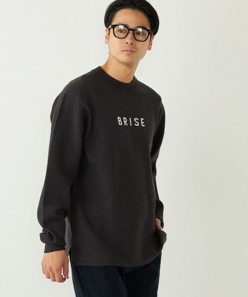 SHIPS / シップス ニット・セーター | SHIPS Colors:〈洗濯機可能〉クリーミー ロゴ クルーネック ニット | 詳細20