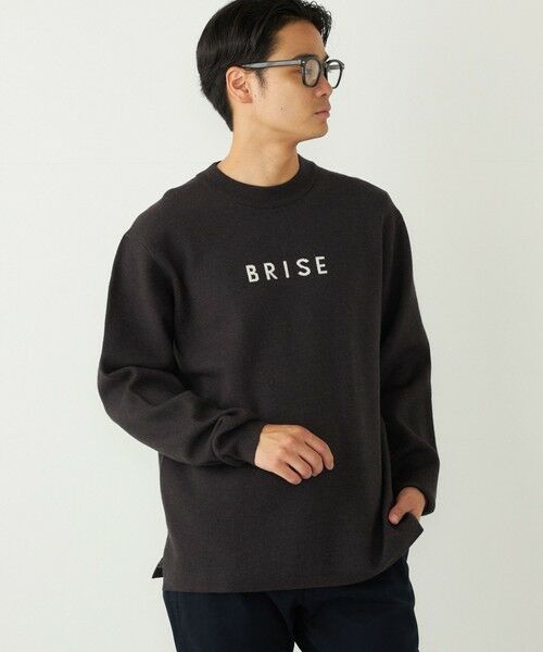 SHIPS / シップス ニット・セーター | SHIPS Colors:〈洗濯機可能〉クリーミー ロゴ クルーネック ニット(ブラック)