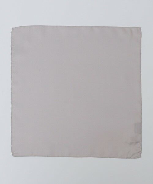 SHIPS / シップス ハンカチ | SHIPS Colors:シルク シルバー ポケットチーフ（シルバー）
