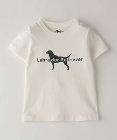 SHIPS / シップス Tシャツ | SHIPS Colors: Labrador Retriever コラボTシャツ(80~130cm)