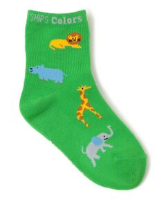 SHIPS / シップス ソックス | SHIPS Colors:アニマル ソックス (KIDS)