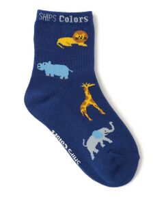 SHIPS / シップス ソックス | SHIPS Colors:アニマル ソックス (KIDS)