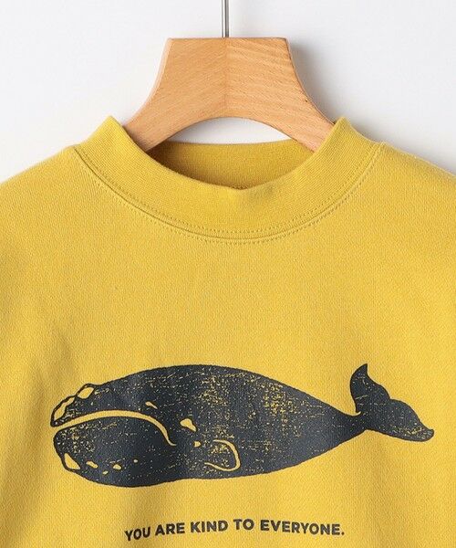 SHIPS / シップス Tシャツ | ARCH&LINE:110〜145cm / オーガニック コットン プルオーバー | 詳細4