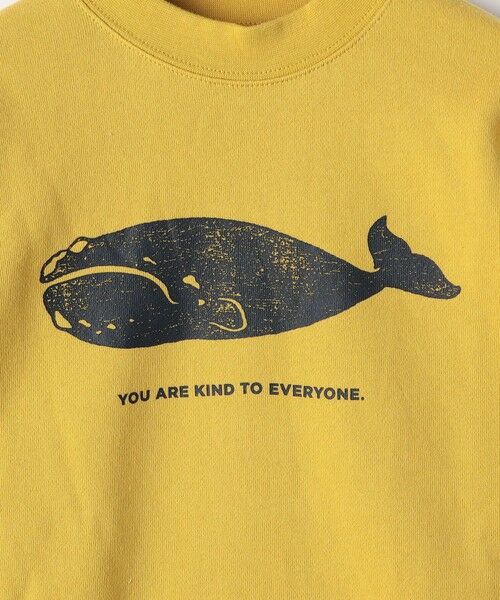 SHIPS / シップス Tシャツ | ARCH&LINE:110〜145cm / オーガニック コットン プルオーバー | 詳細6