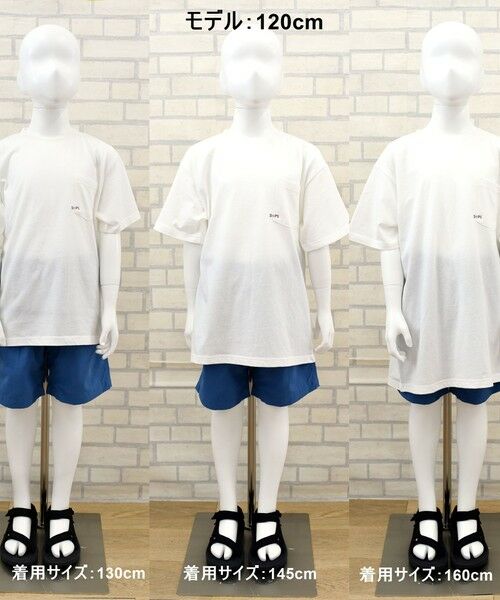 SHIPS / シップス Tシャツ | 【累計販売数1万枚突破!!】【WEB限定】SHIPS KIDS:100〜160cm /SHIPS マイクロロゴ Tシャツ | 詳細17