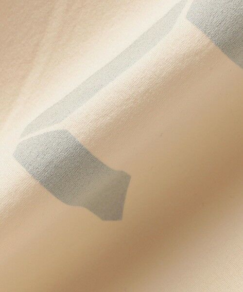 SHIPS / シップス Tシャツ | 【SHIPS KIDS別注】MOUN TEN.:95〜140cm /〈UVカット/吸水速乾〉TEE | 詳細1